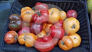 Tomatoes at a Farmer`s Market