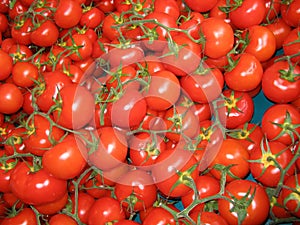 Tomatoes at farmers market