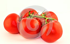 Tomatoes