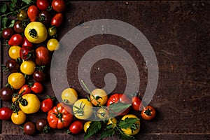 Tomatoes frame on a rusty background