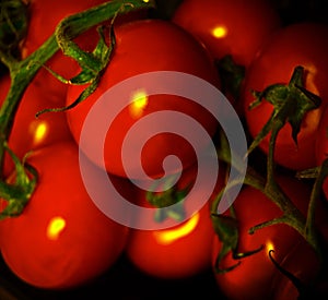 Tomato