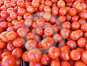 Tomatoes fruit vitamine freshness agriculture