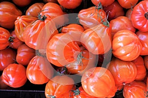 Tomatoes fruit vitamine freshness agriculture