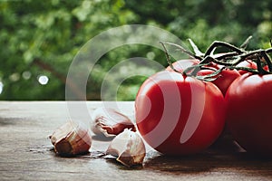 Tomatoes and garlic cloves