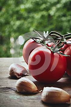 Tomatoes and garlic cloves