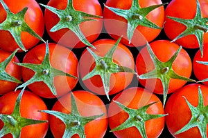 Tomatoes with green leaves - top view - food photography - many tomatoes - kitchen wallpaper