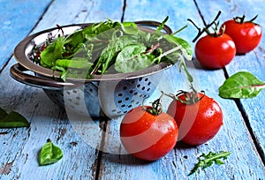 Tomatoes and green lettuce