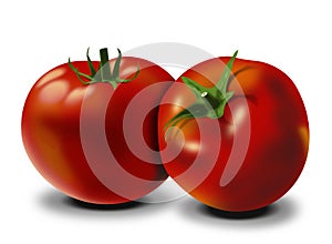 Pomodori immagine 