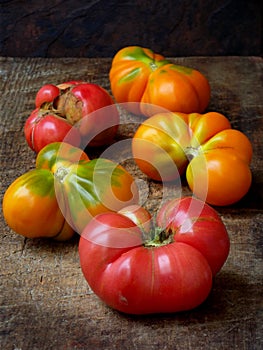 Tomatoes irregular shape of different varieties and colors on wooden background.