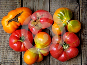 Tomatoes irregular shape of different varieties and colors on wooden background.