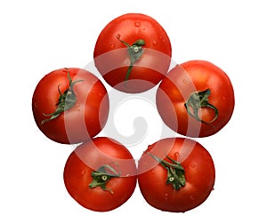 Tomatoes, isolated photo