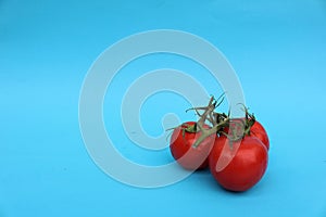Tomatoes isolated behind a blue background