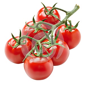 Tomatoes isolated on transparent background.