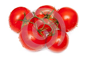 Tomatoes isolated on white background