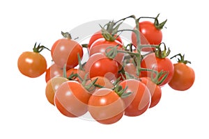 Tomatoes isolated on a white background
