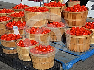 Tomatoes at the Jean-Talon Market photo
