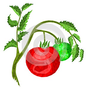 Tomatoes with leaf polygons healthy eating white background vector illustration editable hand draw