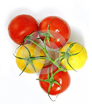 Tomatoes and lemons on the same branch