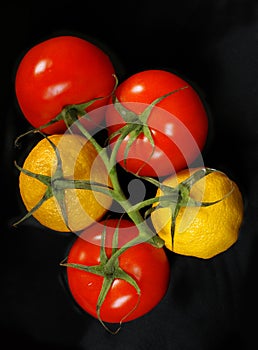 Tomatoes and lemons on the same branch