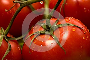 Tomatoes and lettuce