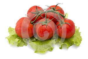 Tomatoes with lettuce isolated on white background