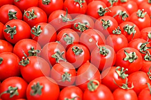 Tomatoes lying on a pile on top of each other