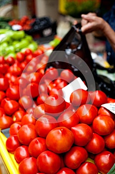 Tomatoes in market