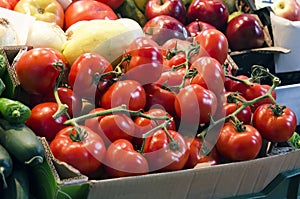 Tomatoes on the market