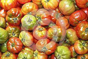 Tomatoes in market raff tomato vegetable