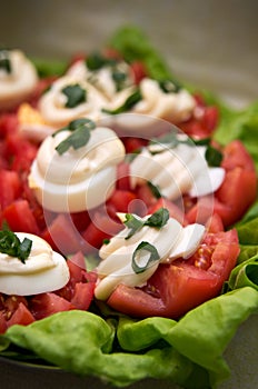 Tomatoes and mayonnaise