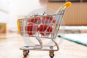 Tomatoes in mini supermarket cart