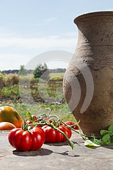 Tomatoes and old clay jug