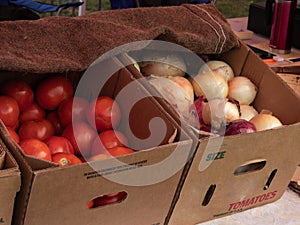 Tomatoes and Onions in Boxes