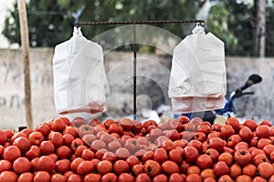 Tomatoes on a outdoor market stall, outdoor, healthy fruits for people with white plastic bags for shopping photo