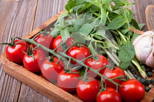 Tomatoes, parsley and garlic on a tray, on a wooden table.