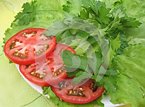 Tomatoes, parsley and lettuce