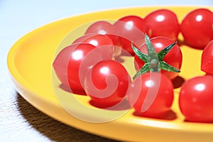 Tomatoes on the plate