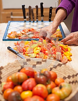 Tomatoes prepared for drying