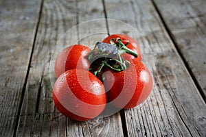Tomatoes ripen on the vine, fresh, sweet, moist and red vegetable
