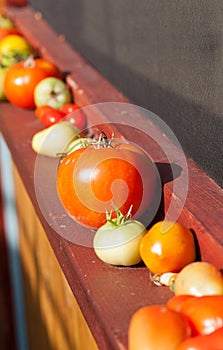 Tomatoes Ripening on an Outdoor Window Sill