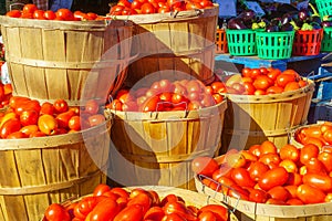 Tomatoes on sale in the Jean-Talon Market Market, Montreal photo