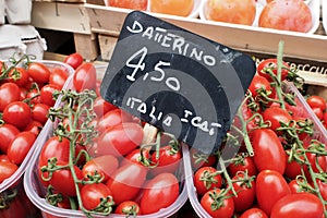Tomatoes for sale on market stall