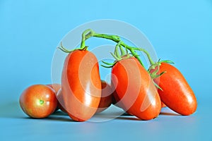Tomatoes San Marzano, Campania, italy