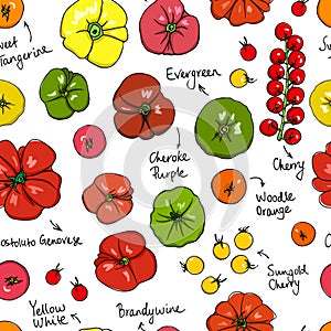 Tomatoes seamless pattern