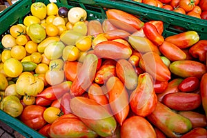 tomatoes at seasonal market