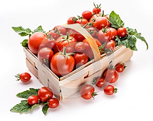 Tomatoes with sepals of different sizes in a basket