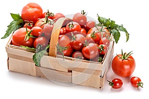 Tomatoes with sepals of different sizes in a basket
