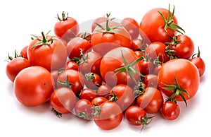 Tomatoes with sepals of different sizes on a white background