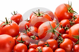 Tomatoes with sepals of different sizes on a white background