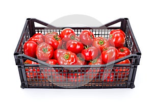 Tomatoes (Solanum lycopersicum) in plastic crate